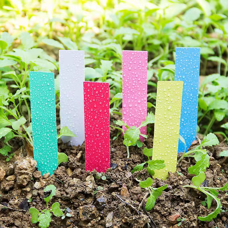 100Pcs 정원 식물 레이블 플라스틱 식물 태그 보육 - Embroidery Garden 리뷰 및 가격