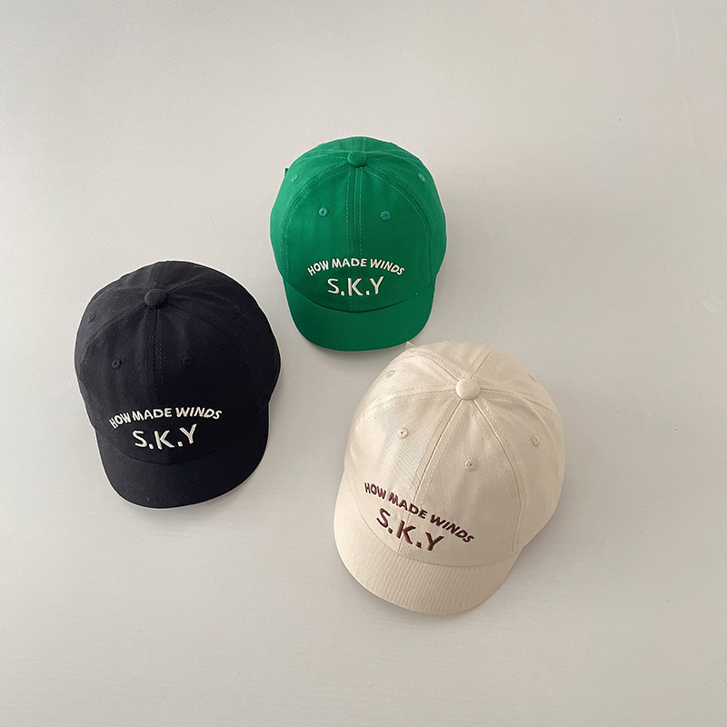 RAISE 캐주얼 레터 캡 베이비 심플 클래식 피크드  - Embroidery Cap 리뷰 및 가격